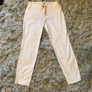 Express Zip Up Ankle Pants